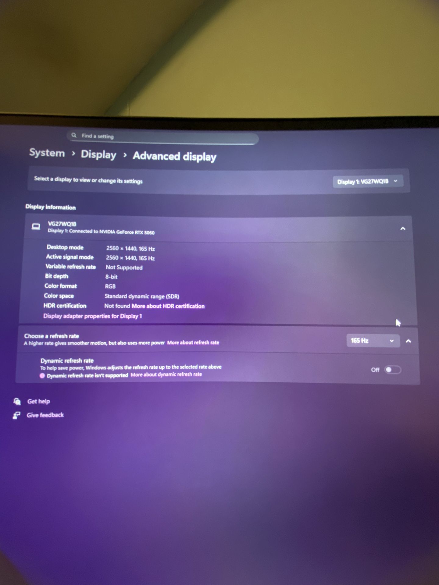 Asus Curved Monitor