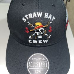 One Piece Straw Hat