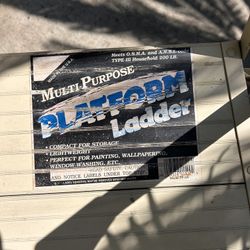 Ladder - Platform Multi Purpose 