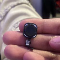 iPhone Home Button