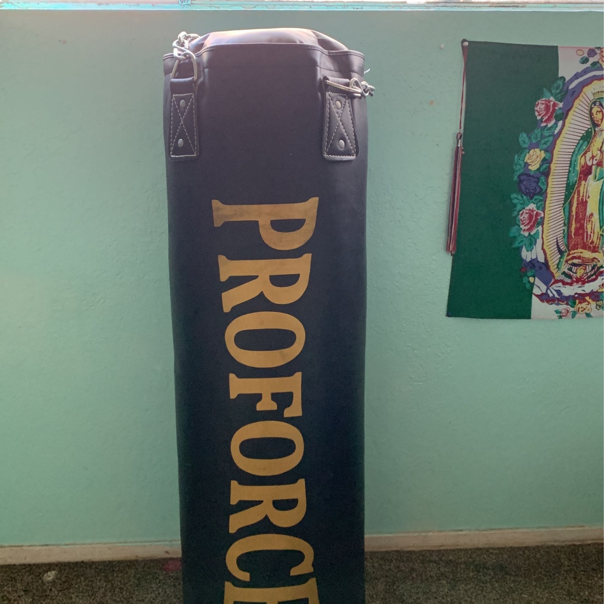 Pro force 75 lbs Punching Bag