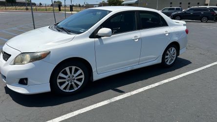 2010 Corolla