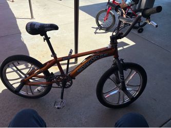Mongoose