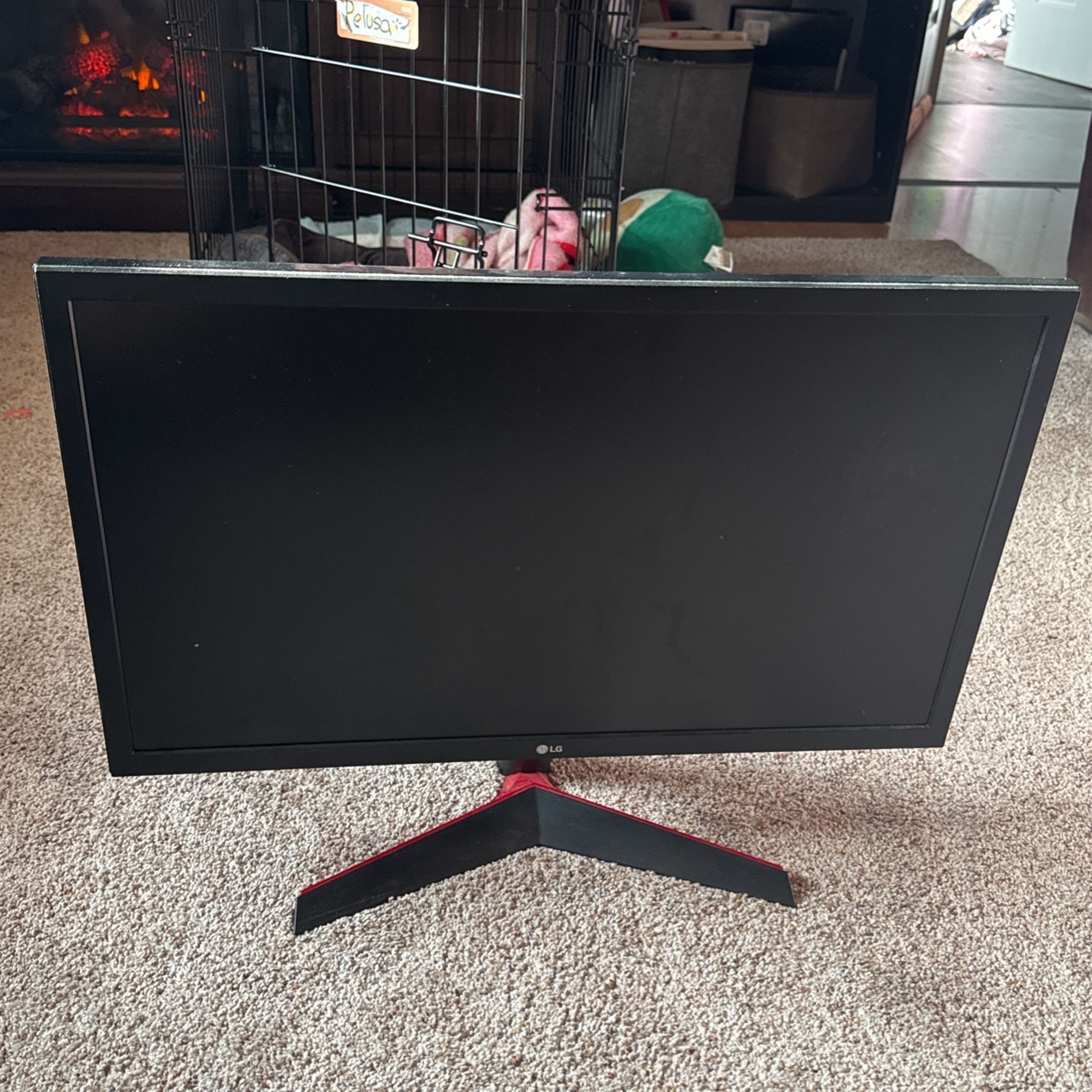 LG UltraGear Gaming Monitor (FHD)