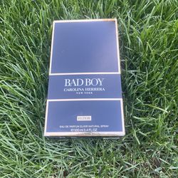 Bad Boy cologne