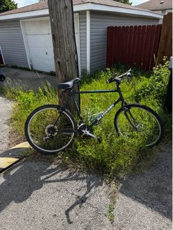 Schwinn Bicycle  - See photos