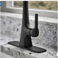 Kohler Guild Black Faucet New