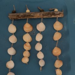 Local Sea Shell Wind chime 