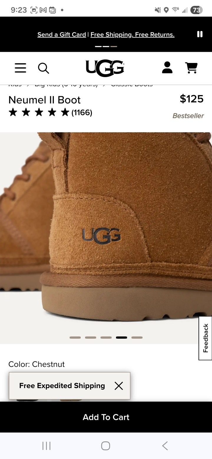 UGG Big Kids Neumel II Boot 1017320K Chestnut Big Kid 5/Women 6.5