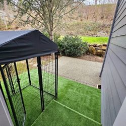 LUCKY DOG KENNEL