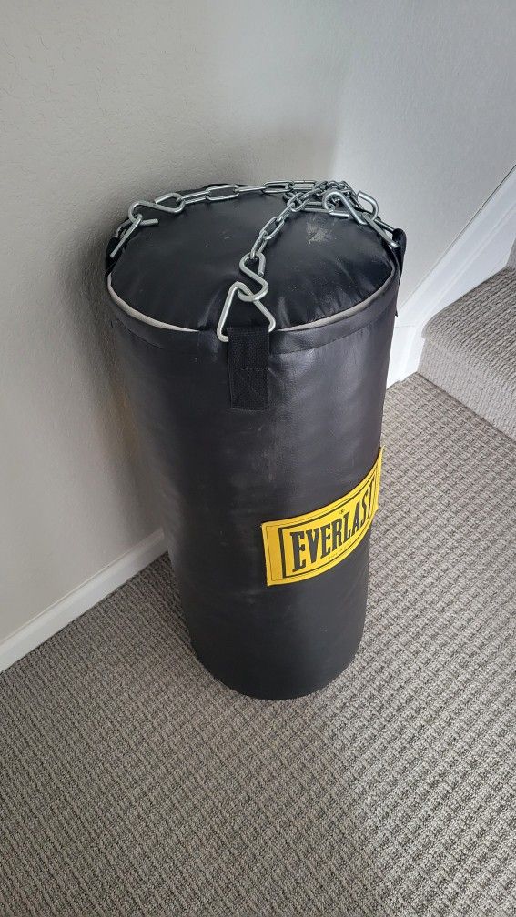 Everlast Punching Bag