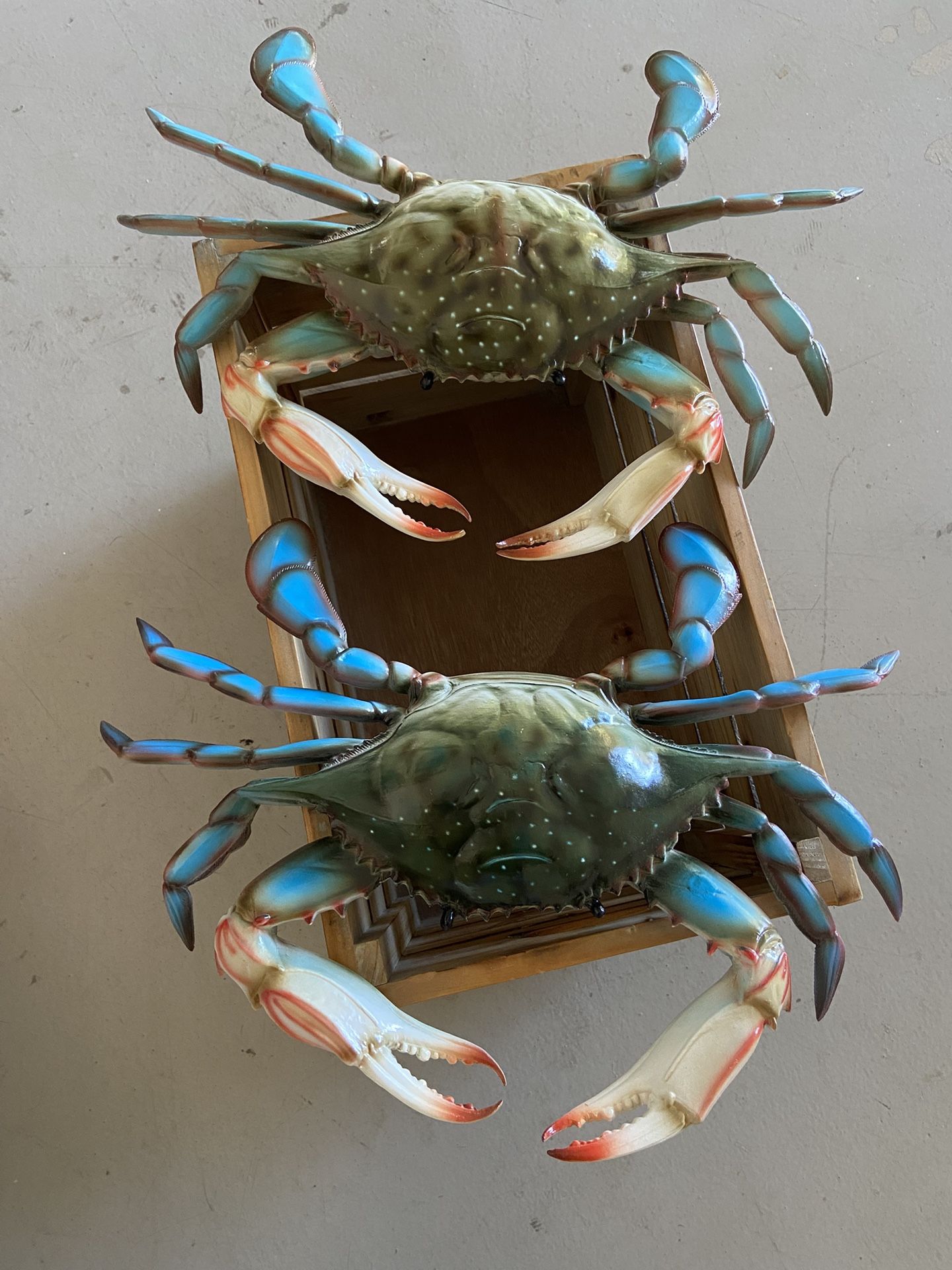 NEW! Set of Two 14” Crab Decorations – Never Used 🦀🦀