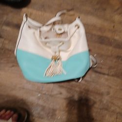 Charming  Charlie Bag