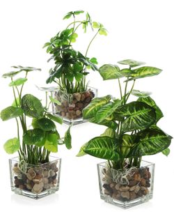 3 pack! Artificial Small Plants with Glass Pots! Brand new! See all pics!