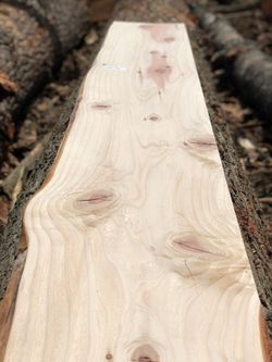 Live edge slabs for floating shelves