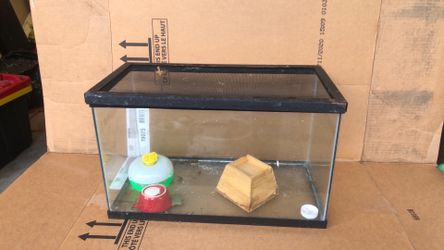 Hamster set up . 20” L , 12”H  ,10”W