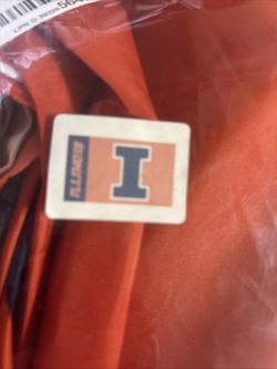 Illinois University College Team Flag