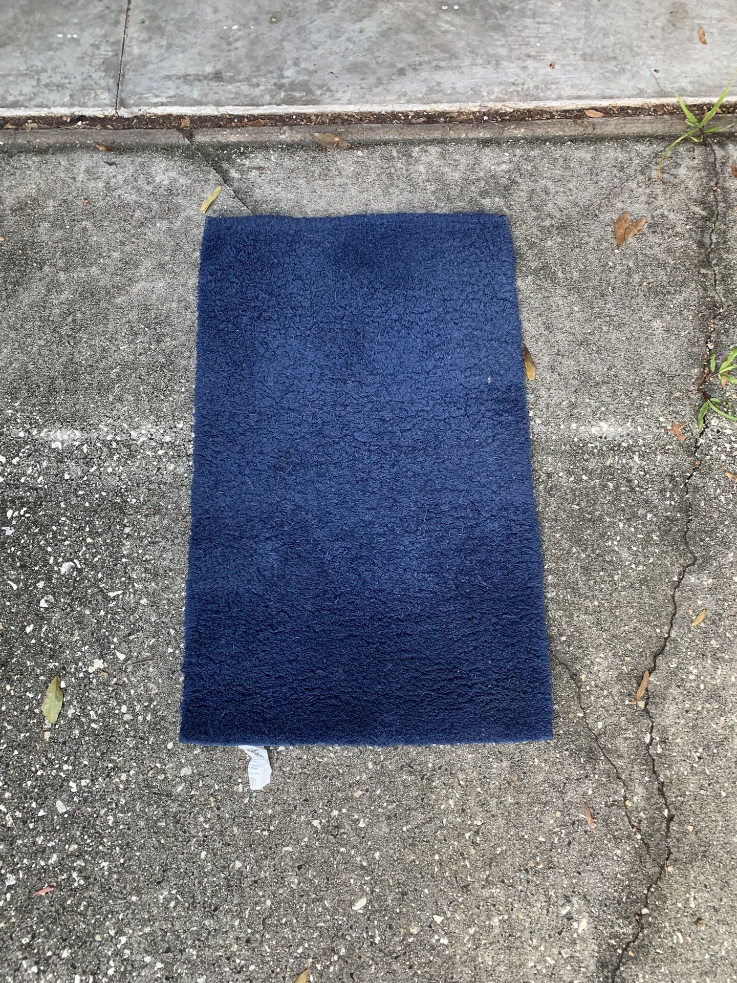 Blue Shower Rug