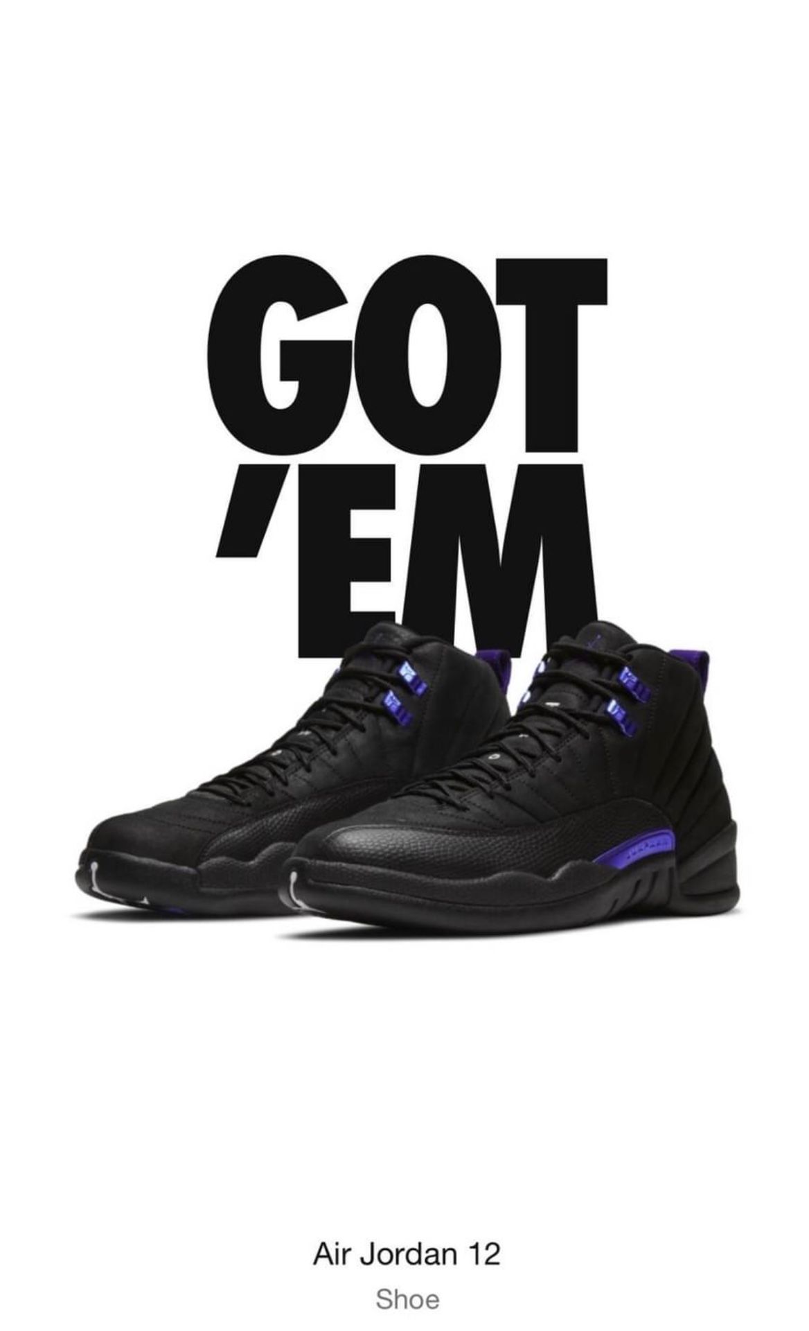 Air Jordan 12 dark concord