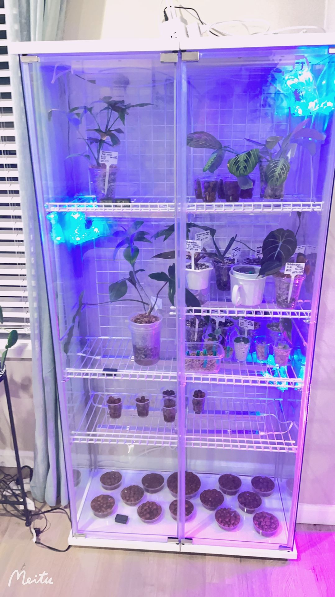 IKEA Dual DETOLF greenhouse cabinet (bigger capacity than Milsbo tall)