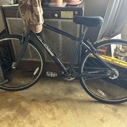Mountain Bike  (New Tubes And Tires)