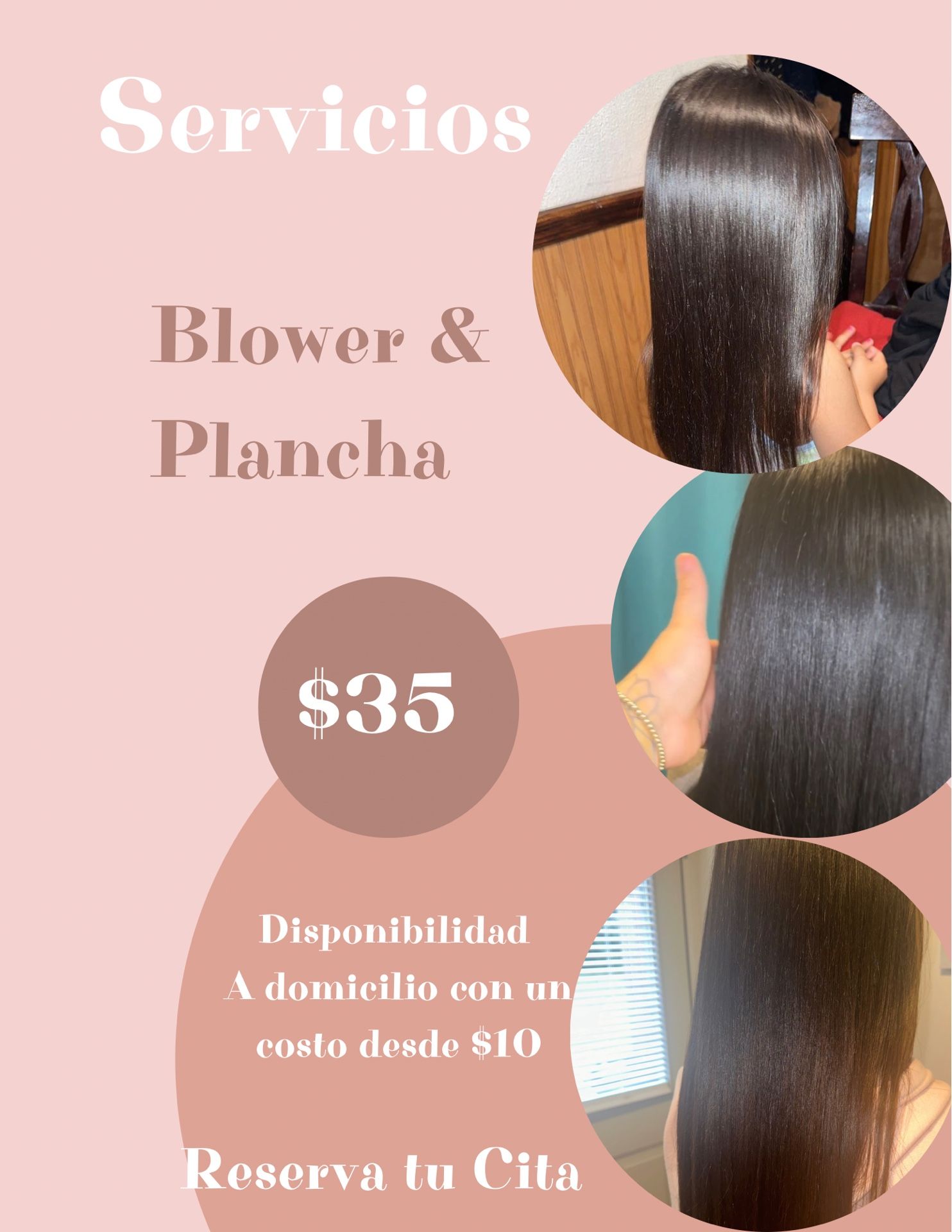Blower & plancha