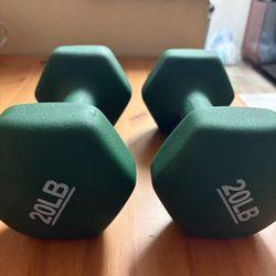 A set of 20lbs dumbbells 