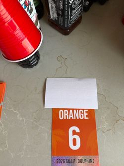 Miami Dolphins vs Lions Parking Pass