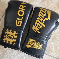 Fairtex Glory gloves