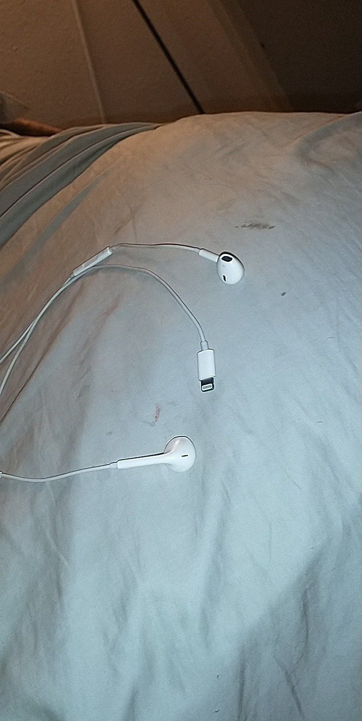 Iphone earbuds