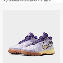 Nike Lebron NXXT Genisus Basketball Shoes (Amethyst Tint/Anthracite/Court Purple/Alabaster) Size 10.5