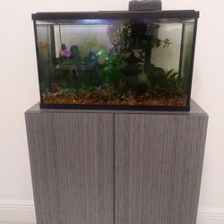10 Gallon Fish Tank