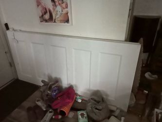 2 Free Hollow Core Doors
