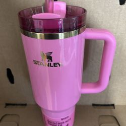 Stanley X Wicked 40oz Tumbler Exclusive Pink - Glinda