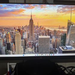 Asus and Dell Monitors 