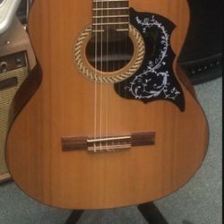Classical Guitar With Padded Gig Bag 