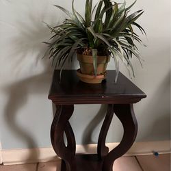 Plant Stand/Accent Table