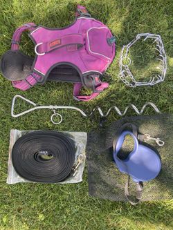 Dog Collar Lot