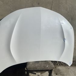 2019-2024 Acura Rdx Hood