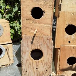 Bird Nest Boxes 