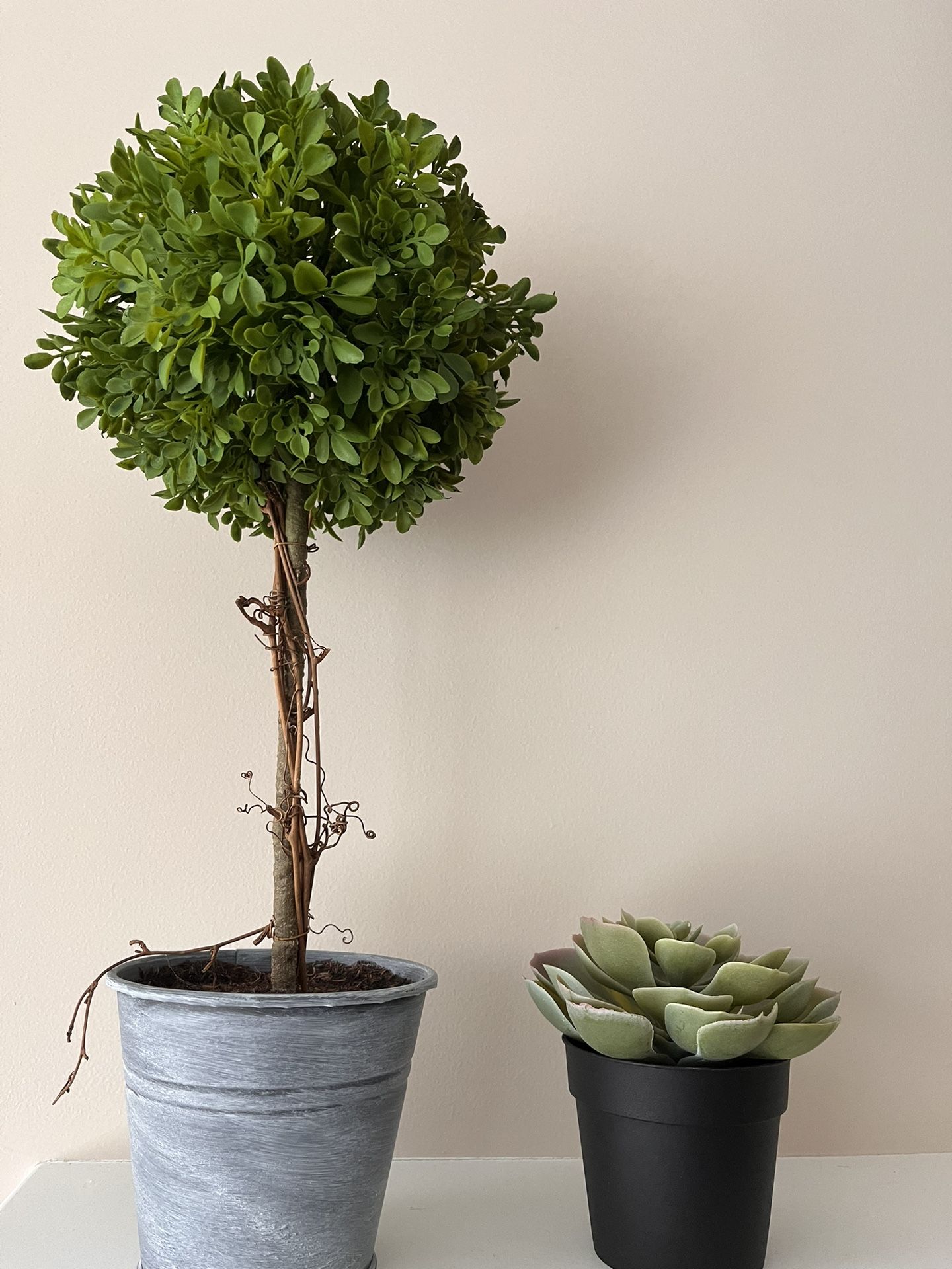 Two artificial  Green plant decorations