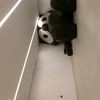 Sneaky_sneaks101