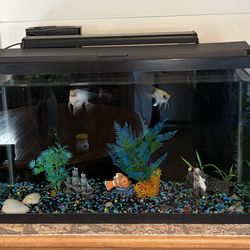 20 gal FISH TANK