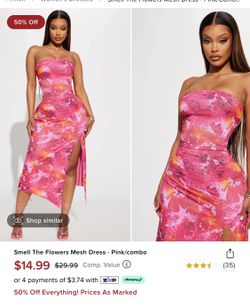 Mesh Dress (Fashion Nova) Brand New