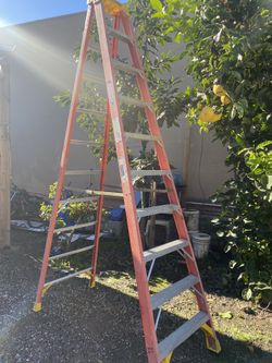 Ladder 8 Ft 80