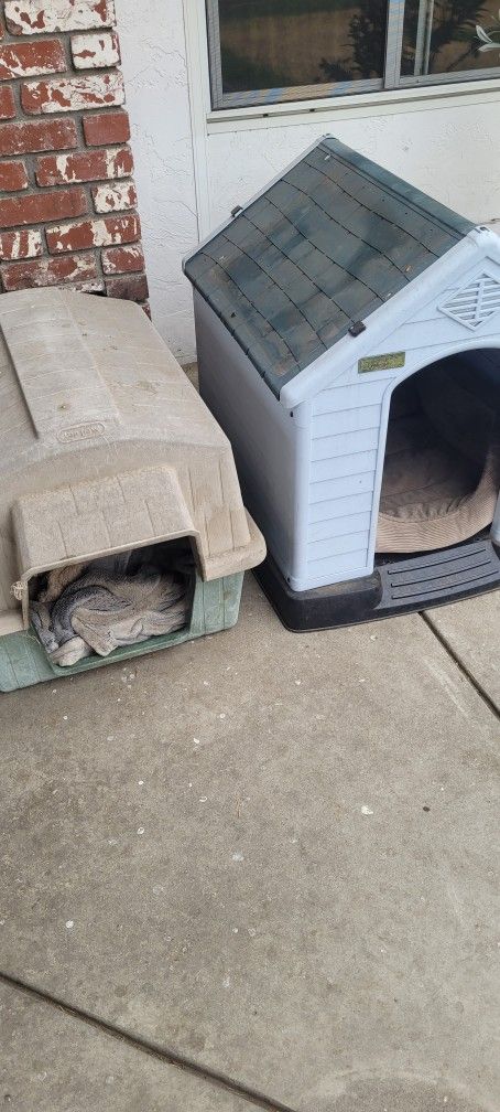 Dog House