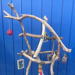 Dual Level Macaw Perch Tree - Funky Design Optimizes Space … Nirvana For Mr Feathers The Macaw !! 👍🏼