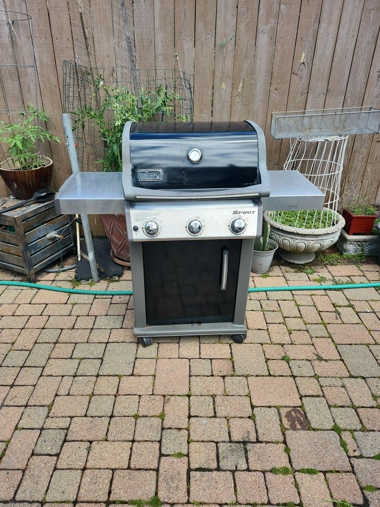 Weber Spirit