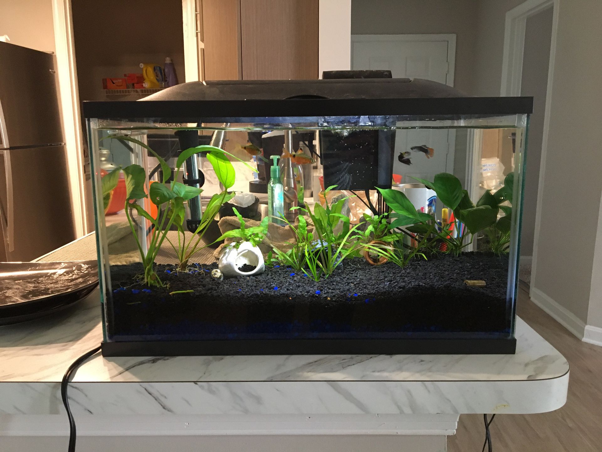 Marineland 10g Aquarium