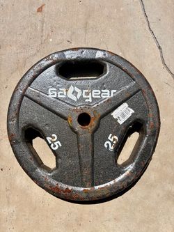 25 lb Weight